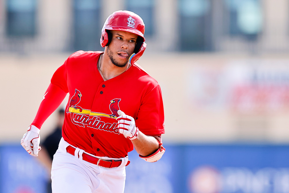 Joshua Baez - Fantasy Baseball Prospects