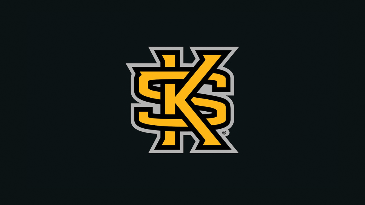 Kennesaw State University Owls - NCAA College Team Logo