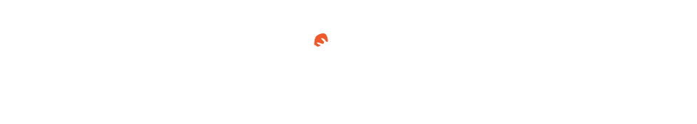 RotoBaller