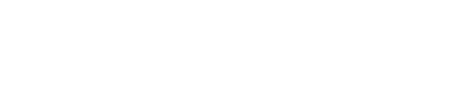 Novig